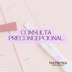 Consulta búsqueda de embarazo