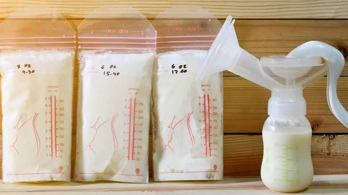 ¿Es Cierto Que Algunos Alimentos Aumentan la Producción de Leche?